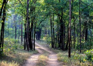 Jashpur: A shining star on the tourism map of Chhattisgarh