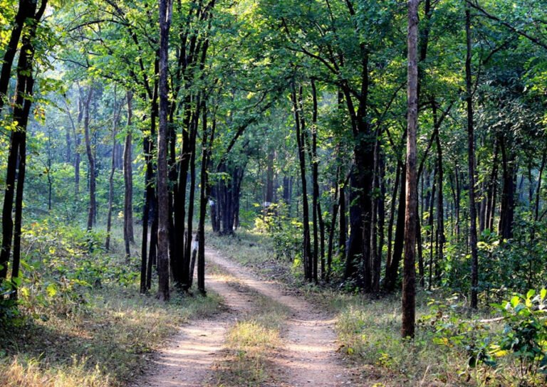 Jashpur: A shining star on the tourism map of Chhattisgarh