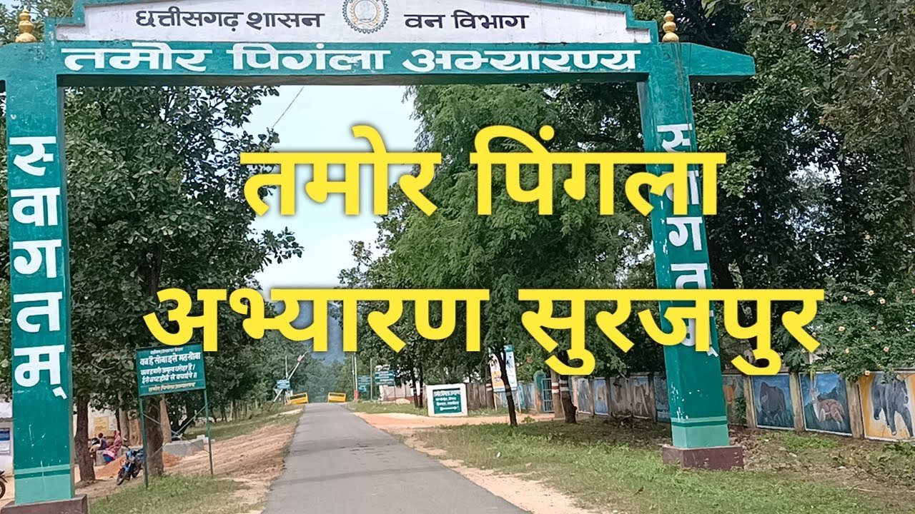 Tamor Pingla Wildlife Sanctuary: A priceless treasure of biodiversity of Chhattisgarh